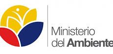 cropped-ministerio-ambiente-1.jpg